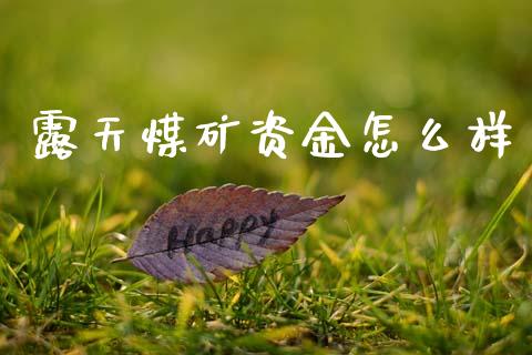 露天煤矿资金怎么样_会计问答_第1张_财经百问网 露天煤矿资金怎么样_https://cj001.lansai.wang_会计问答_第1张