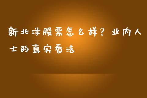 新北洋股票怎么样？业内人士的真实看法_https://cj001.lansai.wang_期货问答_第1张