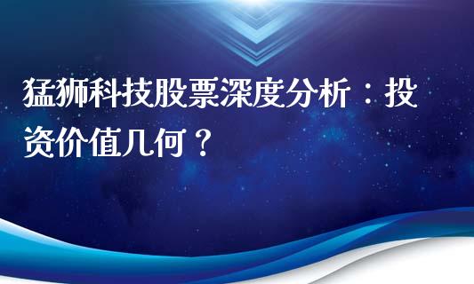 猛狮科技股票深度分析：投资价值几何？_https://cj001.lansai.wang_期货问答_第1张