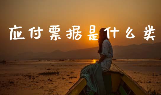 应付票据是什么类_https://cj001.lansai.wang_会计问答_第1张