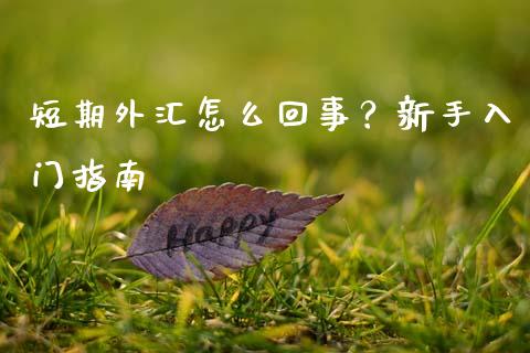 短期外汇怎么回事？新手入门指南_https://cj001.lansai.wang_理财问答_第1张