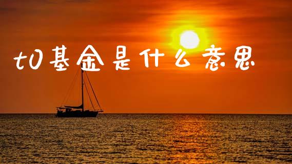 t0基金是什么意思_https://cj001.lansai.wang_财经问答_第1张
