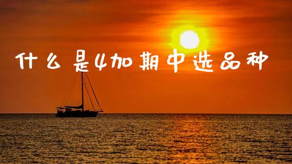 什么是4加期中选品种_https://cj001.lansai.wang_会计问答_第1张