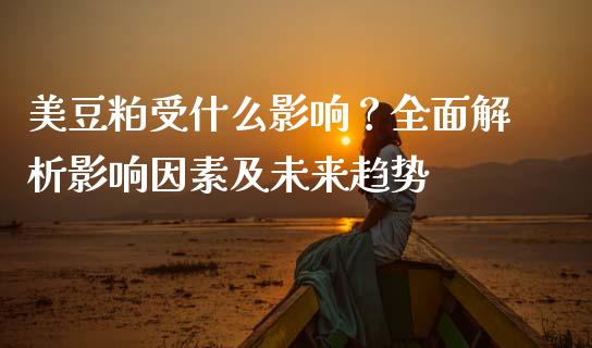 美豆粕受什么影响?全面解析影响因素及未来趋势_会计问答_第1张_财经百问网 美豆粕受什么影响?全面解析影响因素及未来趋势_https://cj001.lansai.wang_会计问答_第1张