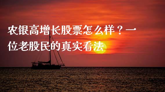 农银高增长股票怎么样？一位老股民的真实看法_https://cj001.lansai.wang_金融问答_第1张