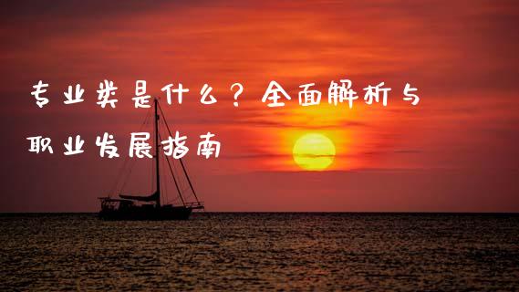专业类是什么？全面解析与职业发展指南_https://cj001.lansai.wang_会计问答_第1张