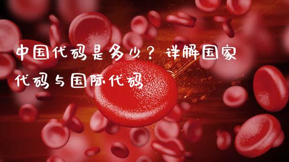 中国代码是多少？详解国家代码与国际代码_https://cj001.lansai.wang_金融问答_第1张