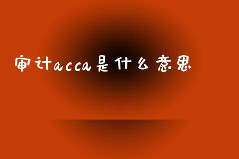 审计acca是什么意思_https://cj001.lansai.wang_会计问答_第1张