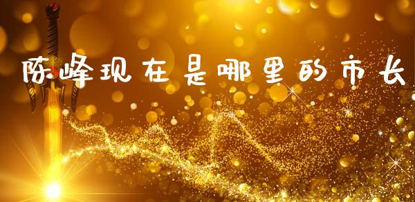 陈峰现在是哪里的市长_https://cj001.lansai.wang_会计问答_第1张