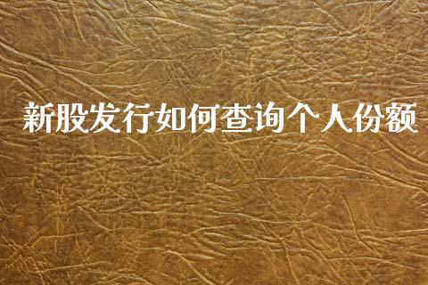 新股发行如何查询个人份额_https://cj001.lansai.wang_会计问答_第1张