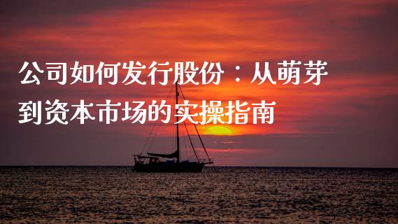 公司如何发行股份：从萌芽到资本市场的实操指南_https://cj001.lansai.wang_会计问答_第1张