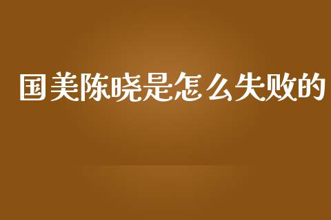 国美陈晓是怎么失败的_https://cj001.lansai.wang_期货问答_第1张