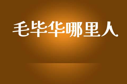 毛毕华哪里人_https://cj001.lansai.wang_理财问答_第1张