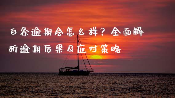 白条逾期会怎么样？全面解析逾期后果及应对策略_https://cj001.lansai.wang_财经问答_第1张