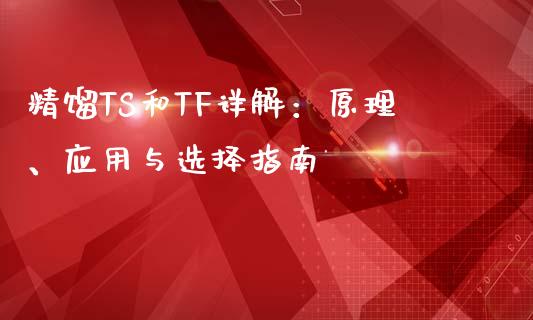 精馏TS和TF详解：原理、应用与选择指南_https://cj001.lansai.wang_会计问答_第1张