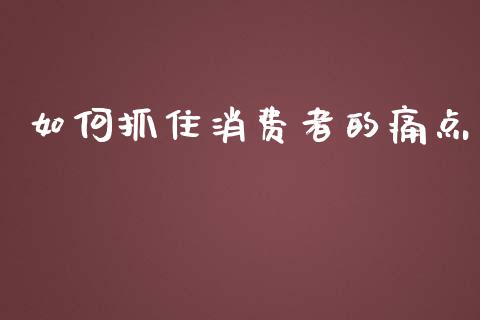 如何抓住消费者的痛点_https://cj001.lansai.wang_理财问答_第1张