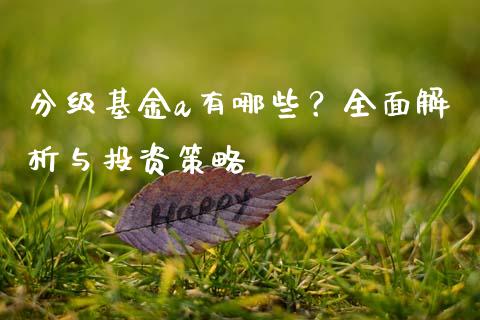 分级基金a有哪些？全面解析与投资策略_https://cj001.lansai.wang_金融问答_第1张