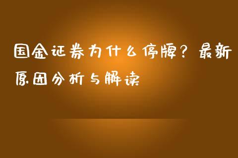 国金证券为什么停牌？最新原因分析与解读_https://cj001.lansai.wang_会计问答_第1张