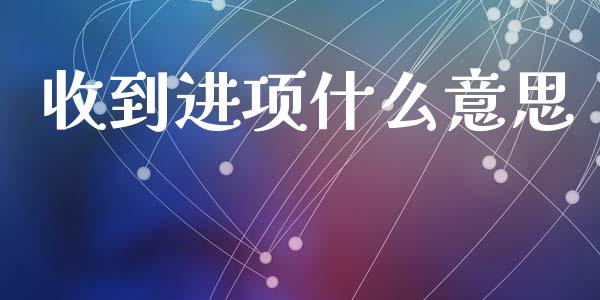 收到进项什么意思_https://cj001.lansai.wang_会计问答_第1张