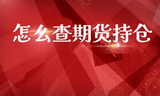 怎么查期货持仓_https://cj001.lansai.wang_股市问答_第1张