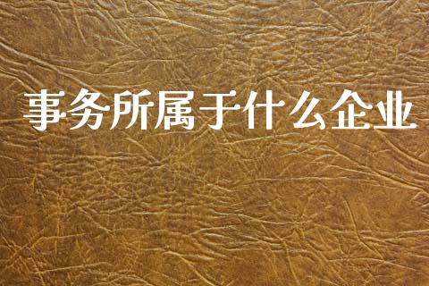 事务所属于什么企业_https://cj001.lansai.wang_会计问答_第1张