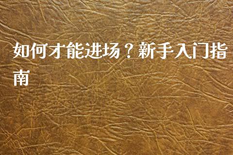 如何才能进场？新手入门指南_https://cj001.lansai.wang_财经百问_第1张
