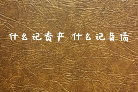 什么记资产 什么记负债_https://cj001.lansai.wang_会计问答_第1张