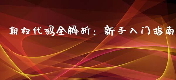 期权代码全解析：新手入门指南_https://cj001.lansai.wang_股市问答_第1张