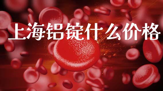 上海铝锭什么价格_https://cj001.lansai.wang_期货问答_第1张
