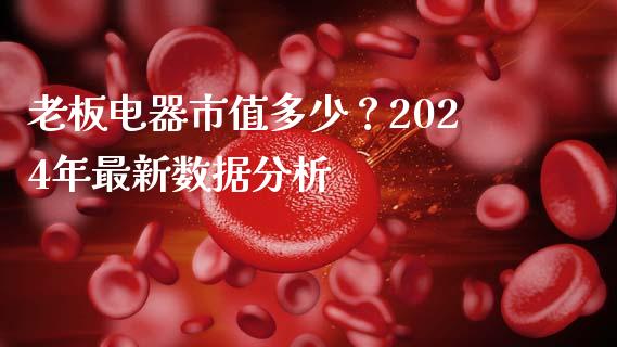 老板电器市值多少？2024年最新数据分析_https://cj001.lansai.wang_保险问答_第1张
