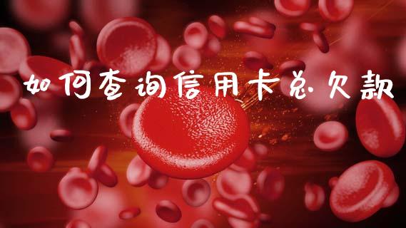 如何查询信用卡总欠款_https://cj001.lansai.wang_理财问答_第1张