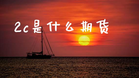 2c是什么期货_https://cj001.lansai.wang_股市问答_第1张