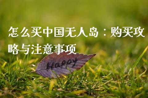 怎么买中国无人岛：购买攻略与注意事项_https://cj001.lansai.wang_财经问答_第1张