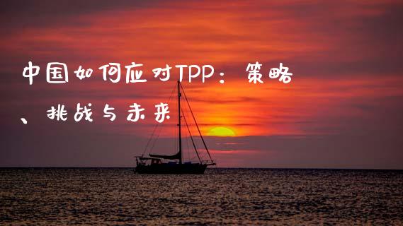 中国如何应对TPP：策略、挑战与未来_https://cj001.lansai.wang_股市问答_第1张