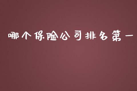 哪个保险公司排名第一_https://cj001.lansai.wang_财经问答_第1张