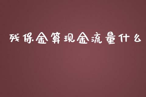 残保金算现金流量什么_https://cj001.lansai.wang_理财问答_第1张