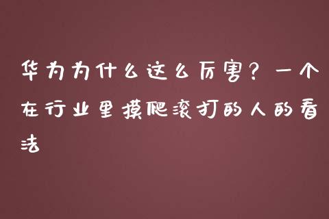 华为为什么这么厉害？一个在行业里摸爬滚打的人的看法_https://cj001.lansai.wang_理财问答_第1张