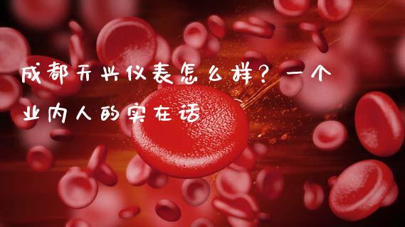 成都天兴仪表怎么样？一个业内人的实在话_https://cj001.lansai.wang_保险问答_第1张