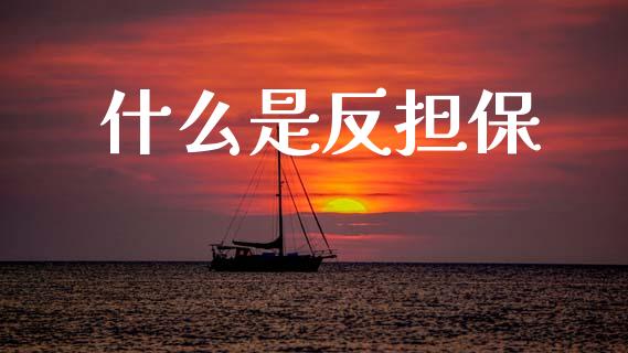 什么是反担保_https://cj001.lansai.wang_理财问答_第1张