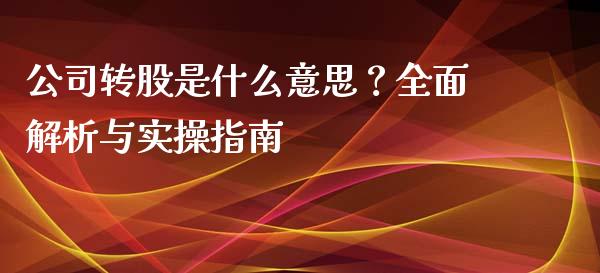 公司转股是什么意思？全面解析与实操指南_https://cj001.lansai.wang_会计问答_第1张