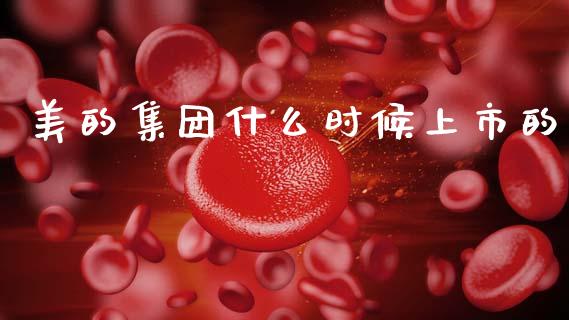 美的集团什么时候上市的_https://cj001.lansai.wang_金融问答_第1张