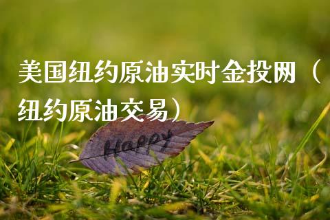 美国纽约原油实时金投网（纽约原油交易）_https://cj001.lansai.wang_期货问答_第1张