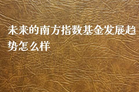 未来的南方指数基金发展趋势怎么样_https://cj001.lansai.wang_股市问答_第1张