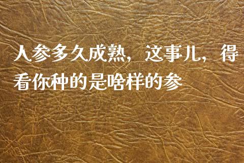 人参多久成熟，这事儿，得看你种的是啥样的参_https://cj001.lansai.wang_金融问答_第1张