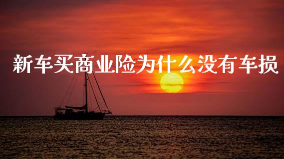 新车买商业险为什么没有车损_https://cj001.lansai.wang_期货问答_第1张