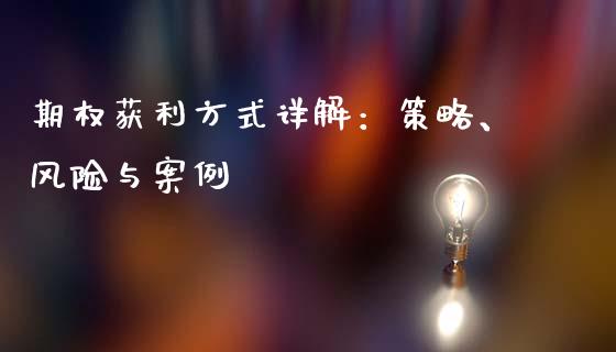期权获利方式详解：策略、风险与案例_https://cj001.lansai.wang_财经百问_第1张