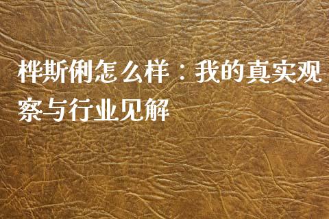 桦斯俐怎么样：我的真实观察与行业见解_https://cj001.lansai.wang_金融问答_第1张