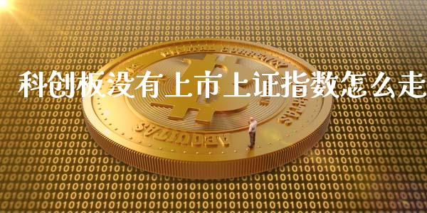 科创板没有上市上证指数怎么走_https://cj001.lansai.wang_股市问答_第1张