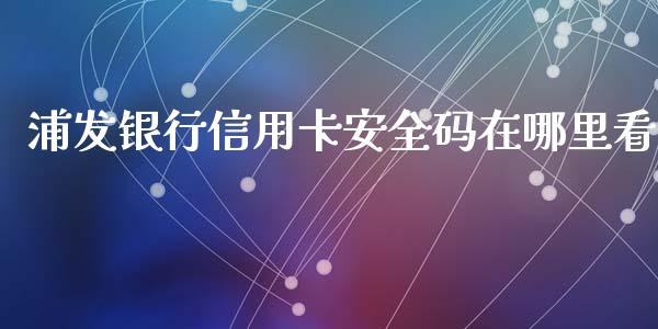 浦发银行信用卡安全码在哪里看_https://cj001.lansai.wang_理财问答_第1张