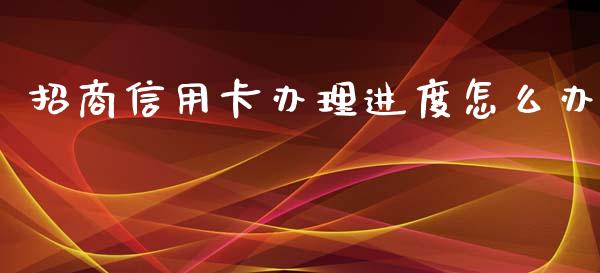 招商信用卡办理进度怎么办_https://cj001.lansai.wang_金融问答_第1张